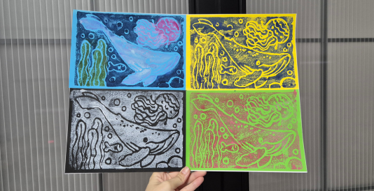Pri Sch - Foam.png